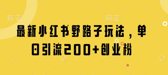 最新小红书野路子玩法，单日引流200+创业粉-云速度网创