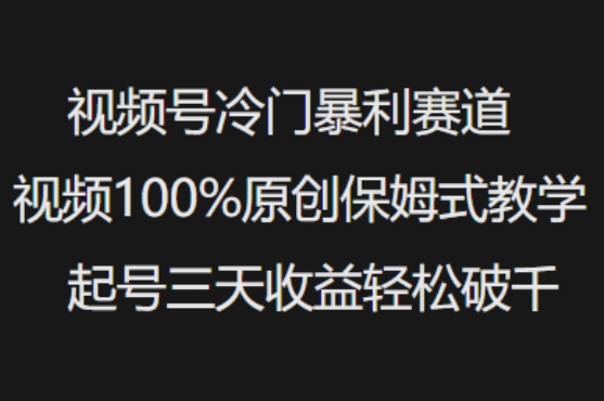 视频号冷门暴利赛道视频100%原创保姆式教学起号三天收益轻松破千-云速度网创