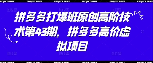 拼多多打爆班原创高阶技术第43期，拼多多高价虚拟项目-云速度网创