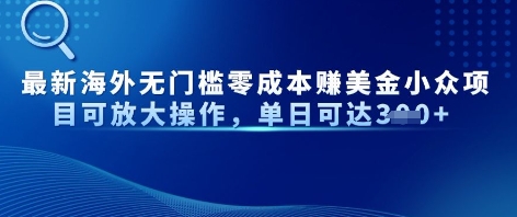 最新海外无门槛美金小众项目可放大操作，单日可达3张-云速度网创