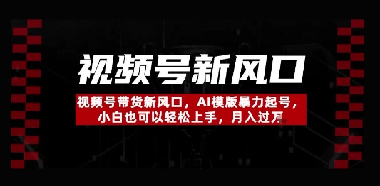 视频号带货新风口，AI模版暴力起号，小白也可以轻松上手，月入过W-云速度网创