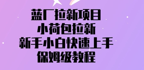 蓝厂拉新项目，小荷包拉新，新手小白快速上手，保姆级教程-云速度网创