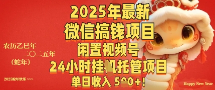 2025年最新微信搞钱项目，闲置视频号年24小时挂G托管项目，单日收入多张-云速度网创