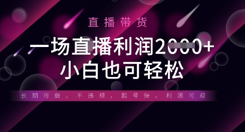 半无人直播带货，一场利润数张，适合所有平台玩法，小白也可轻松-云速度网创