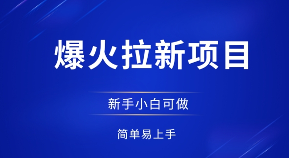 爆火拉新项目，有手就行，小白轻松入门，日入1张拉新整套流程-云速度网创