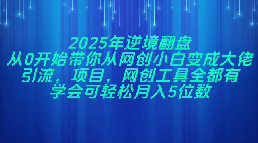 （14473期）2025年逆境翻盘，从0开始带你从网创小白变成大佬，引流，项目，网创工…-云速度网创