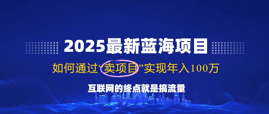 （14305期）2025最新蓝海项目，零门槛轻松复制，月入10万+，新手也能操作！-云速度网创