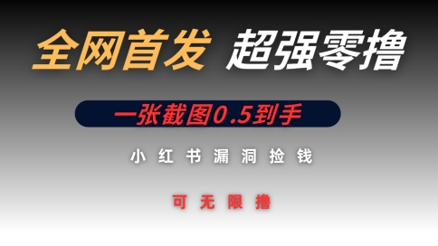 全网首发无限零撸捡钱项目，小红书一张截图0.5元可无限零撸-云速度网创