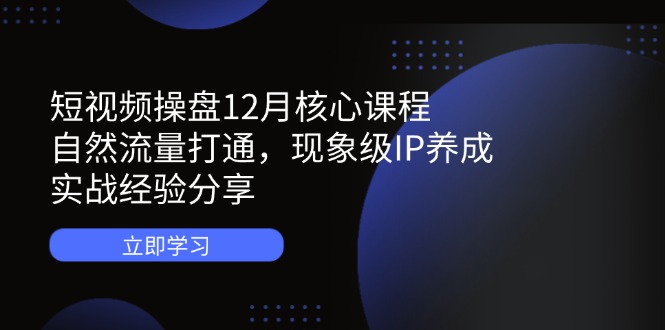 （14447期）短视频操盘12月核心课程：自然流量打通，现象级IP养成，实战经验分享-云速度网创