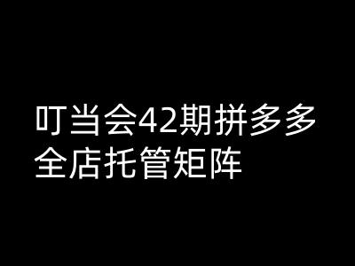 叮当会拼多多打爆班原创高阶技术第42期，拼多多全店托管矩阵-云速度网创