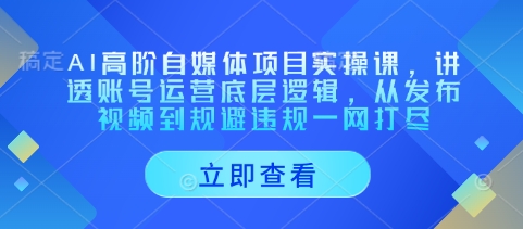 AI高阶自媒体项目实操课，讲透账号运营底层逻辑，从发布视频到规避违规一网打尽-云速度网创