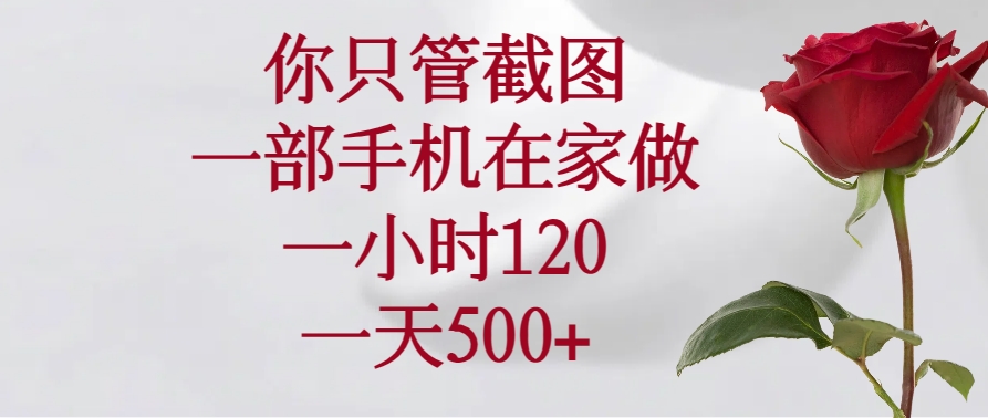 （14248期）你只管截图，一部手机在家做，一小时120，一天500+-云速度网创