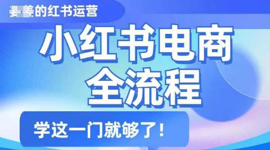 小红书电商全流程，精简易懂，从入门到精通，学这一门就够了-云速度网创