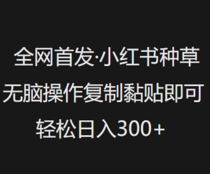 全网首发，小红书种草无脑操作，复制黏贴即可，轻松日入3张-云速度网创