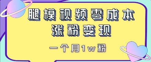 腿模视频，零成本涨粉变现，一个月1w粉-云速度网创