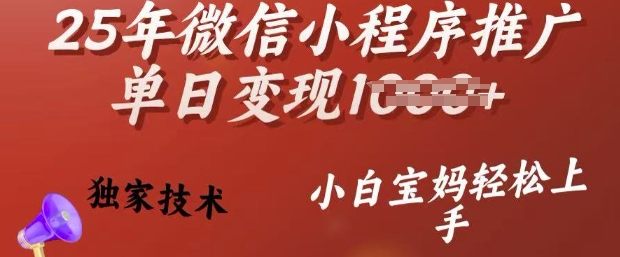 25年微信小程序推广单日变现多张，独家技术，小白宝妈轻松上手【揭秘】-云速度网创