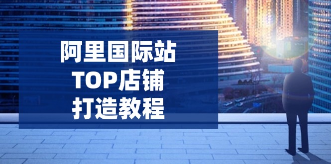 （14269期）阿里国际站TOP店铺打造教程：涵盖平台到高阶，解决运营难题，提升询盘-云速度网创