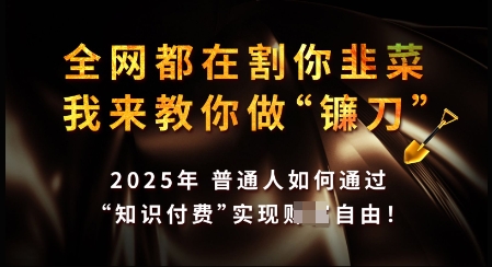 知识付费如何做到月入过W+，2025我来教你做“镰刀”【揭秘】-云速度网创