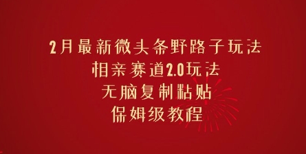 2月最新微头条野路子玩法，相亲赛道2.0玩法，无脑复制粘贴，保姆级教程-云速度网创