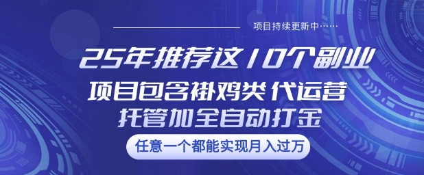 25年推荐这10个副业项目包含褂鸡类、代运营托管类、全自动打金类【揭秘】-云速度网创