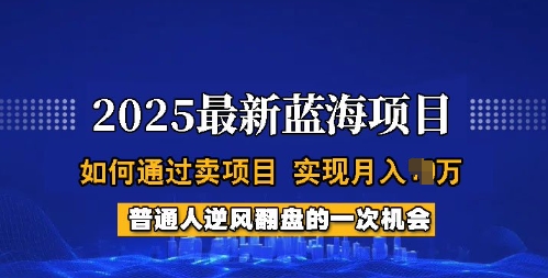 2025蓝海项目，普通人如何通过卖项目，实现月入过W，全过程【揭秘】-云速度网创