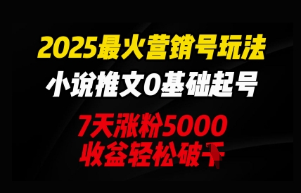 2025最火营销号玩法：小说推文0基础起号，7天涨粉5000，收益轻松破k-云速度网创