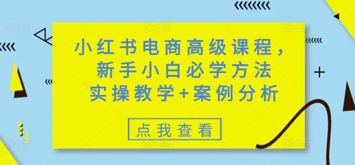 小红书电商高级课程，新手小白必学方法，实操教学+案例分析-云速度网创