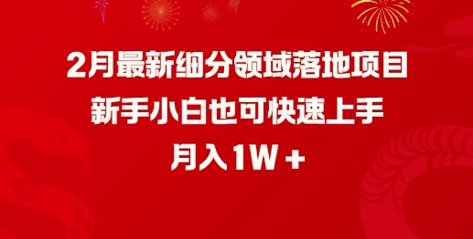 2月最新细分领域落地项目，新手小白也可快速上手，月入1W-云速度网创