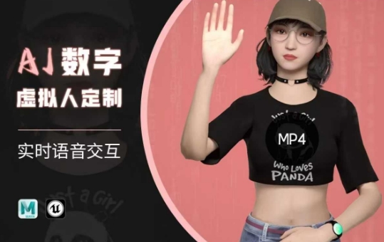 Ai数字人虚拟(智能体)实时语音交互特训营，​自行定制超写实角色AI数字人交互技术-云速度网创