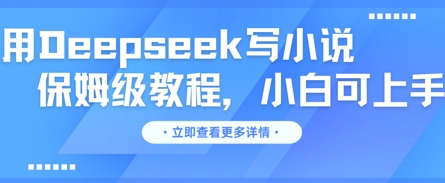用Deepseek写小说，保姆级教程，小白可实操-云速度网创