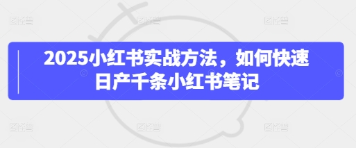 2025小红书实战方法，如何快速日产千条小红书笔记-云速度网创